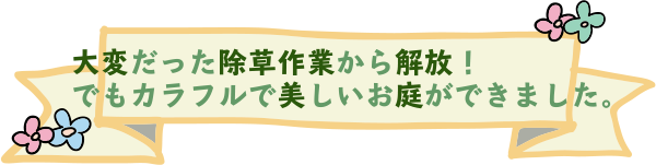大変だった除草作業から解放！でもカラフルで美しいお庭ができました！