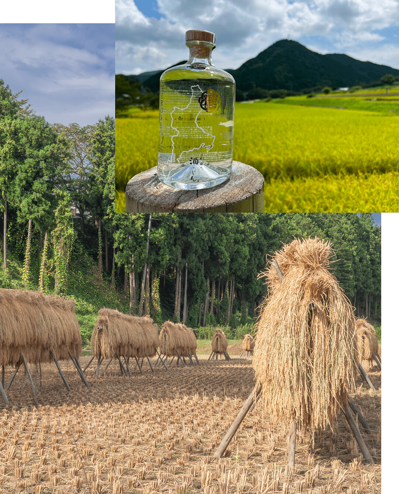 TOP取り組み画像